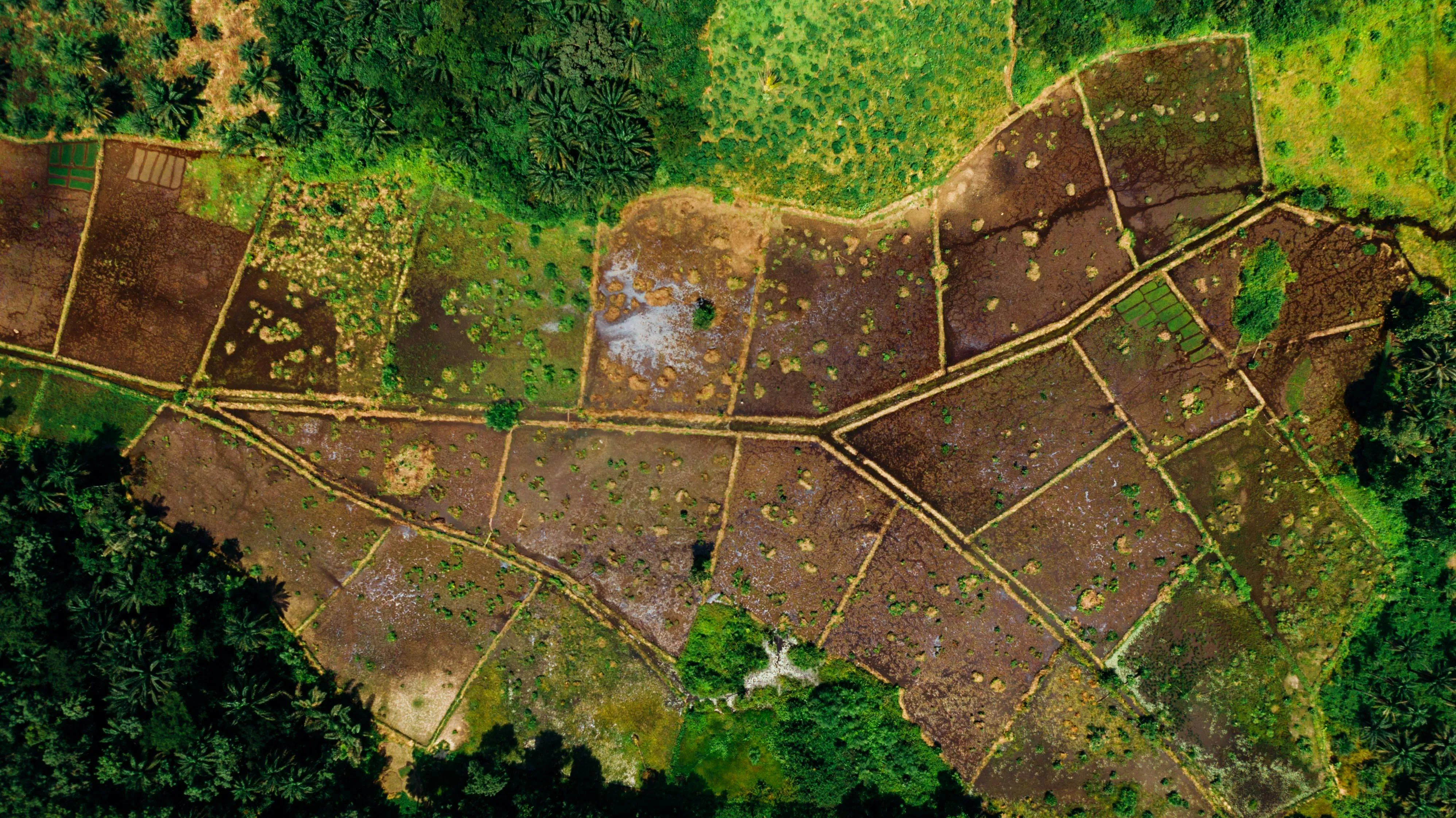 Understanding Land Zoning: What R-1, R-2, and Other Zones Mean for You