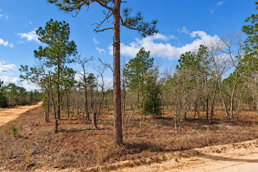 Own a Florida Corner Lot – 0.23 Acres in Interlachen